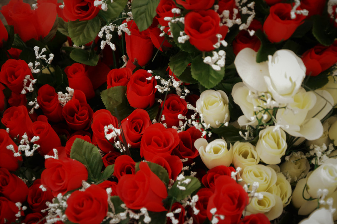 roses